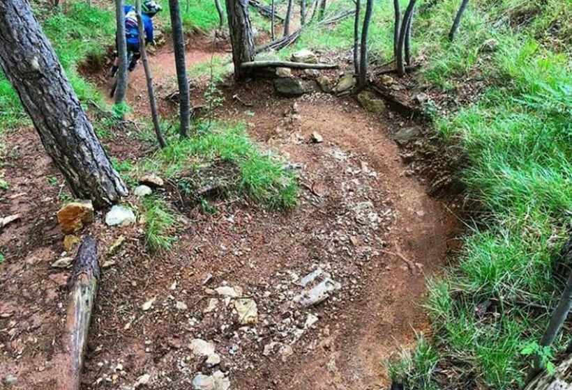 فندق San Pietro Palace