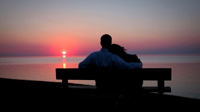 Отель The Shaw Club