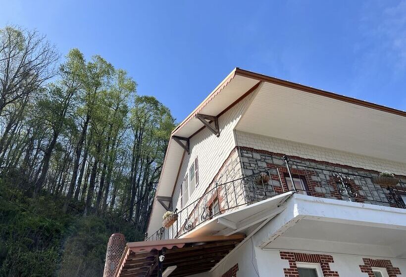 酒店 Skyline Village Inn