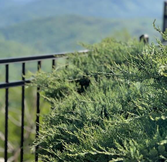 酒店 Skyline Village Inn