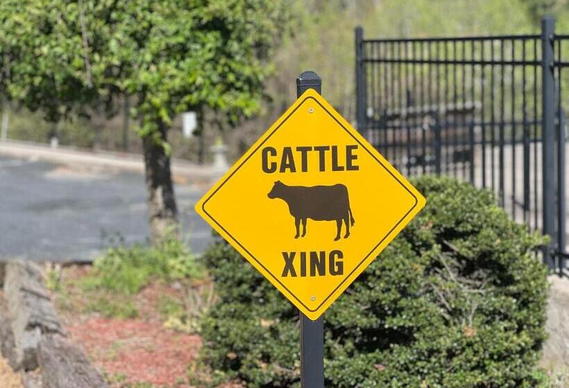 酒店 Skyline Village Inn