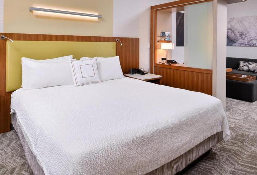 فندق Springhill Suites Irvine John Wayne Airport/orange County