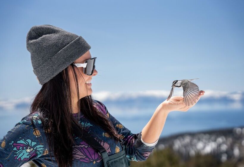 호텔 The Incline Lodge