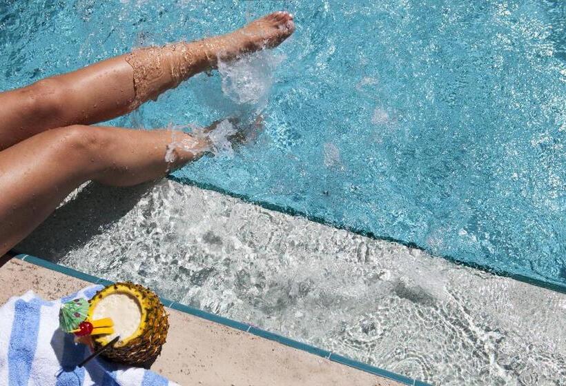 فندق Southernmost Inn Adult Exclusive