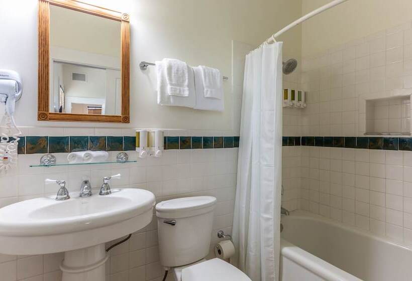 בית מלון כפרי Southernmost Inn Adult Exclusive