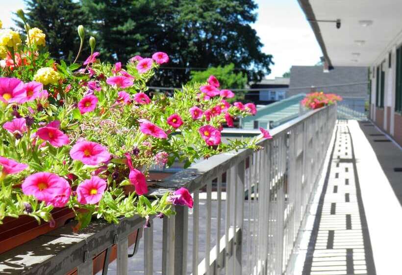 호텔 Travelers Inn