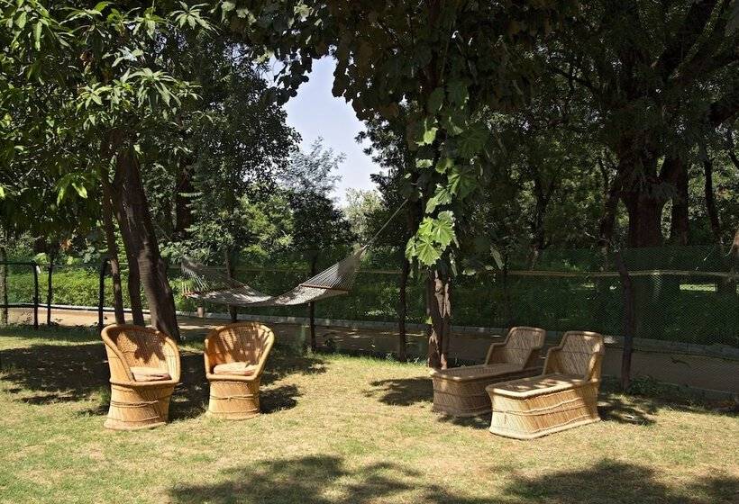 فندق Sawai Madhopur Lodge   Ihcl Seleqtions