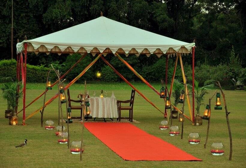 فندق Sawai Madhopur Lodge   Ihcl Seleqtions