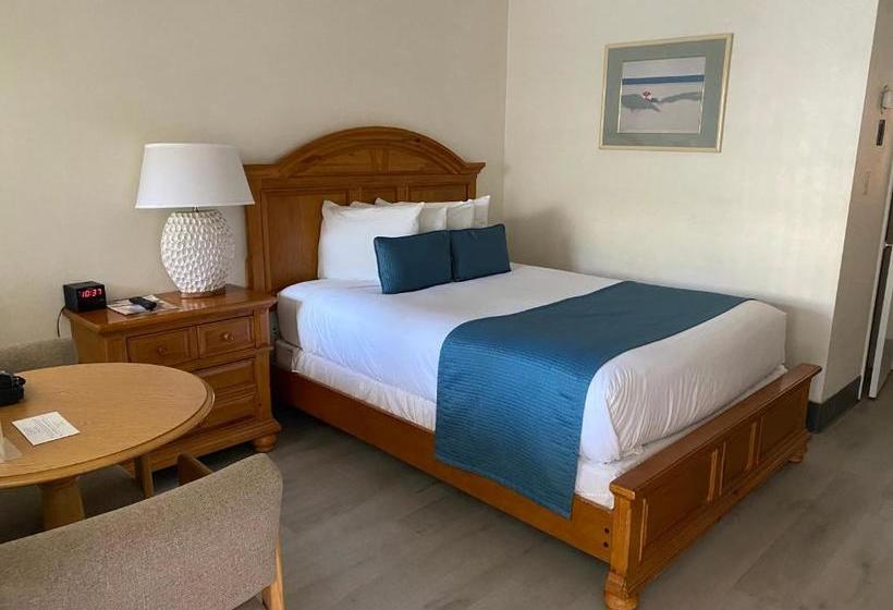 فندق على الطريق Beach Shell Inn