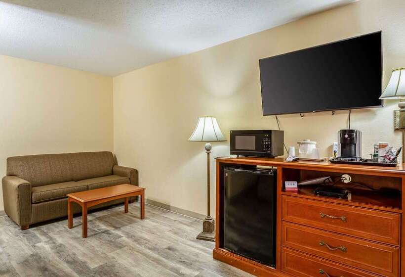 فندق على الطريق Econo Lodge Inn & Suites