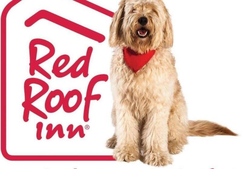 فندق على الطريق Red Roof Inn Austin  Round Rock