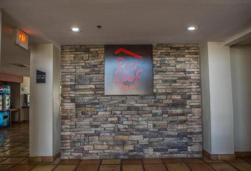 汽车旅馆  Red Roof Inn Pharr  Mcallen