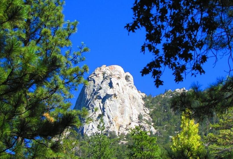 리조트 Always Inn Idyllwild Vacation Cottages