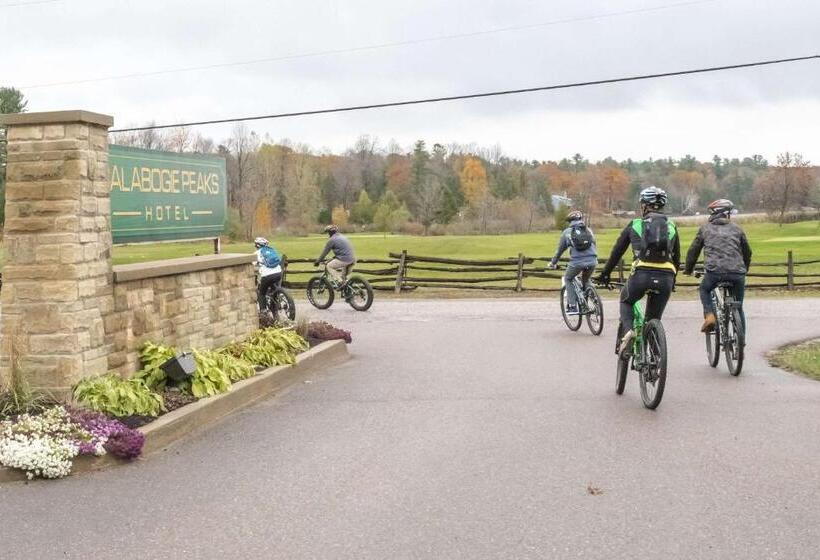 리조트 Calabogie Peaks Hotel, Ascend Hotel Collection