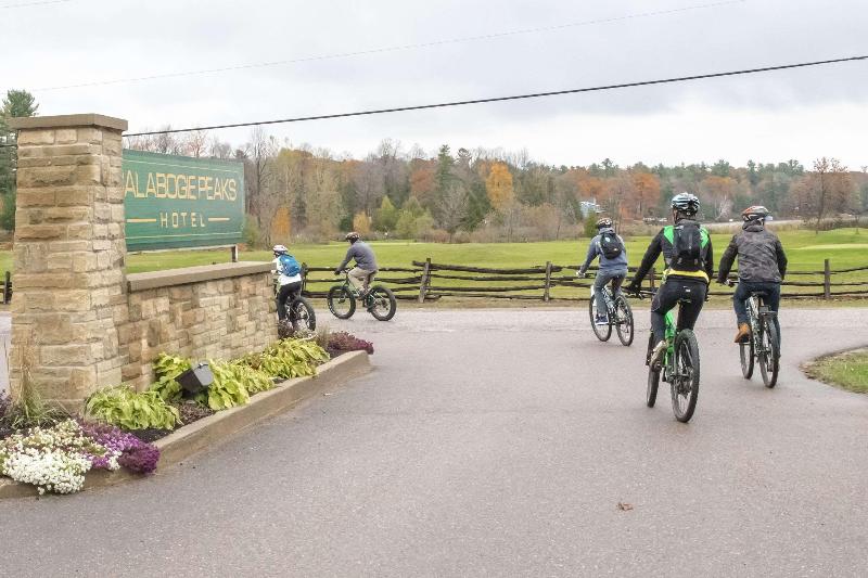 리조트 Calabogie Peaks Hotel, Ascend Hotel Collection