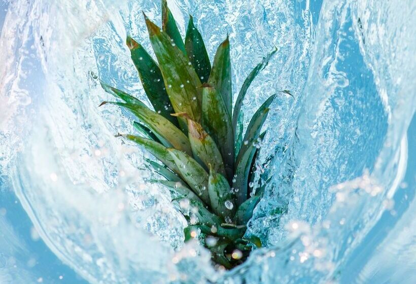 リゾートホテル Parrot Key Hotel & Villas