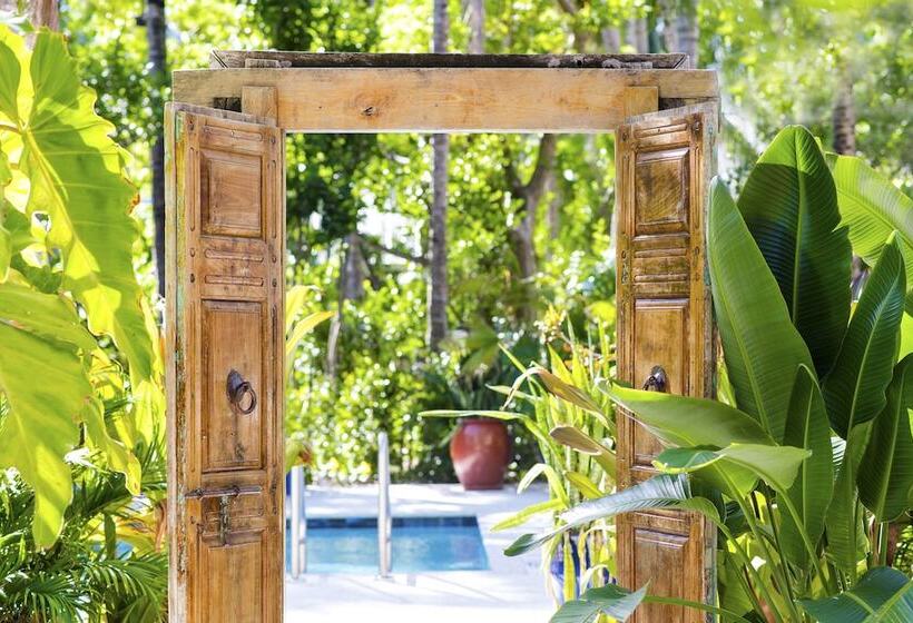 منتجع Parrot Key Hotel & Villas