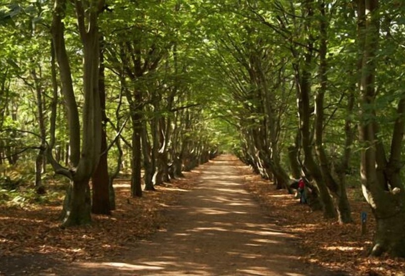 Strandhotel Bos En Duin