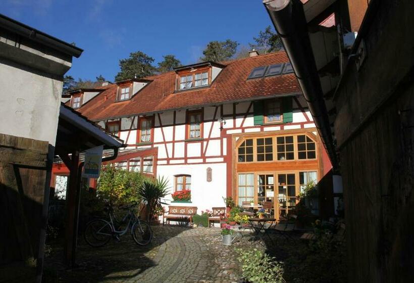 호스텔 Gästehaus Pfefferle Hotel Garni Und Ferienwohnungen