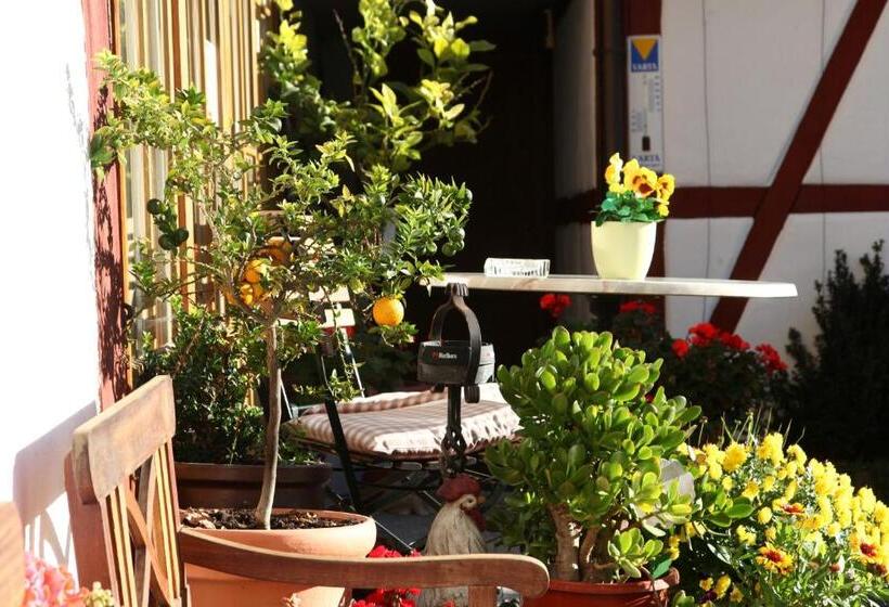 호스텔 Gästehaus Pfefferle Hotel Garni Und Ferienwohnungen