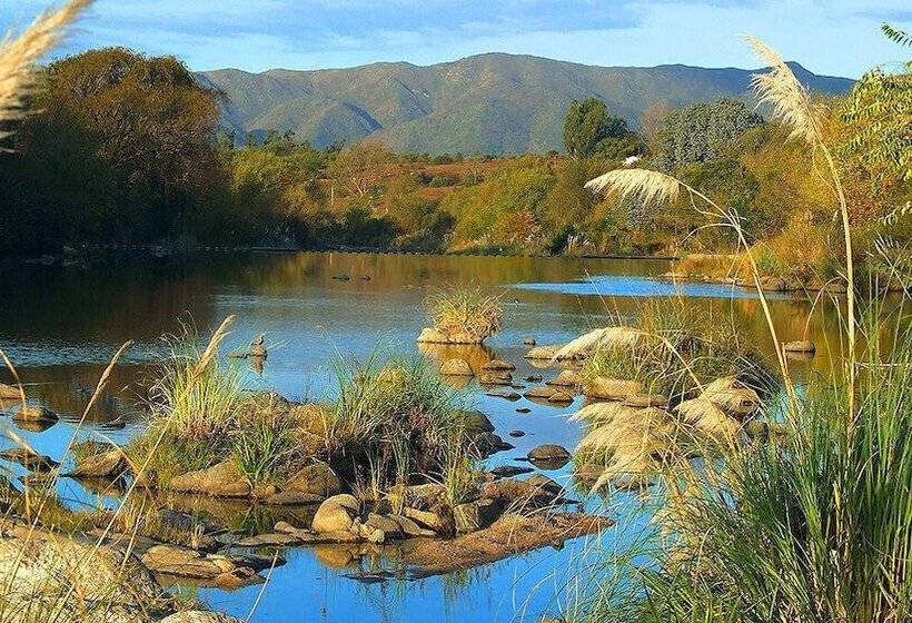 הוסטל La Domanda