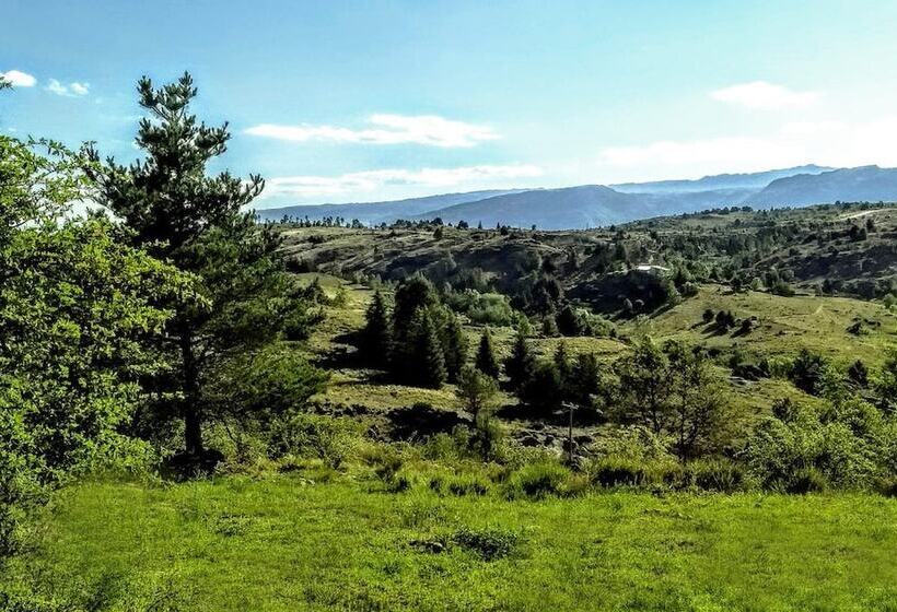 הוסטל La Domanda