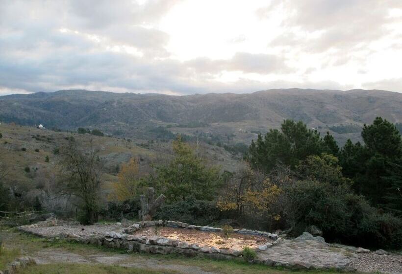 הוסטל La Domanda