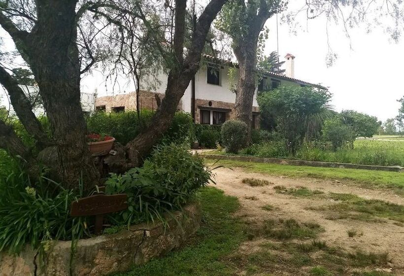 הוסטל La Domanda