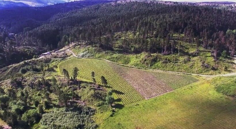 הוסטל La Domanda