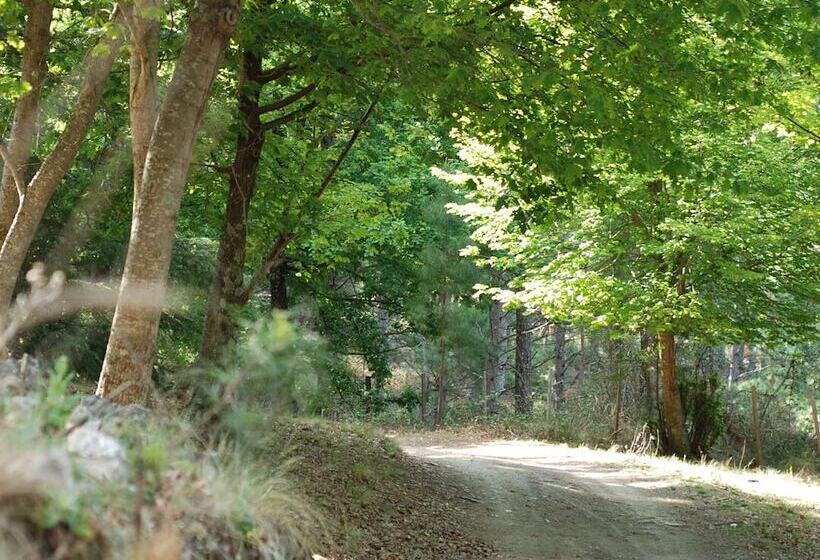 הוסטל La Domanda