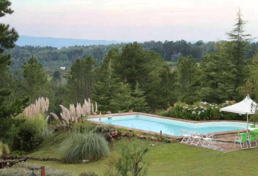 הוסטל La Domanda