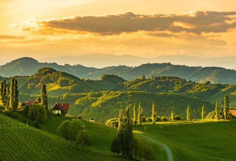 هاستل Lieperts Cafè Dinners