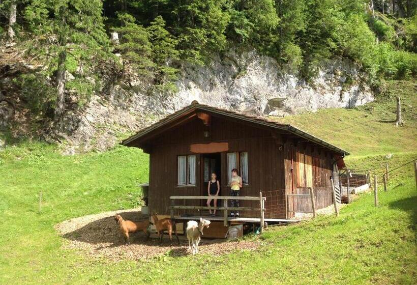 הוסטל Panorama Hotel Wagenkehr