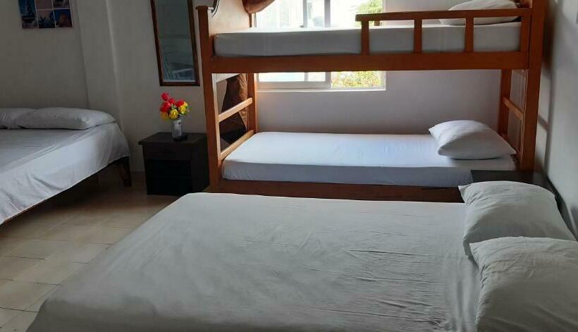 Общежитие Posada Nativa Miss Zelzel Place