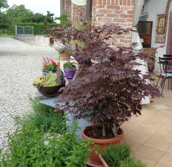 Bed And Breakfast Al Rudun