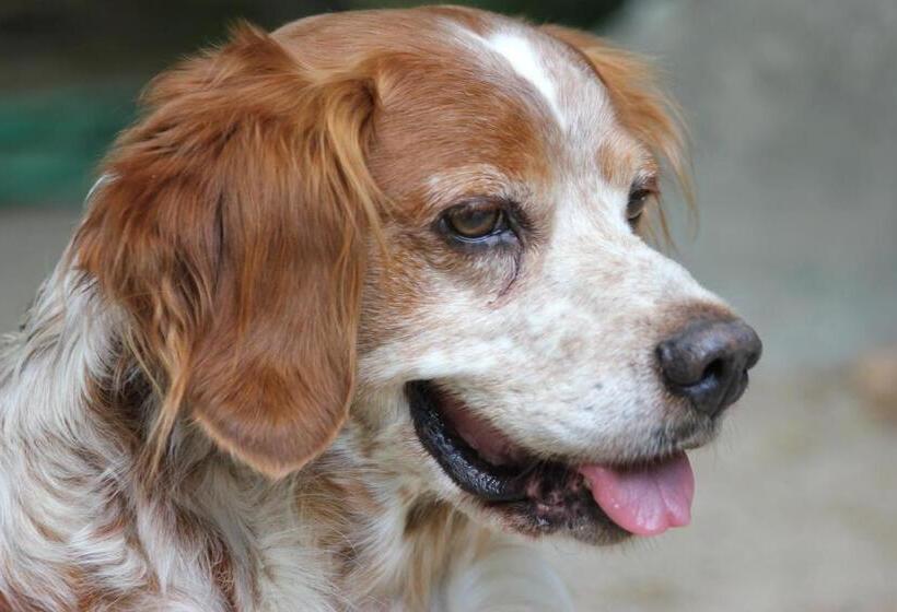 Bed and Breakfast Chambre D Hôte Chez Antoinette Et Charles