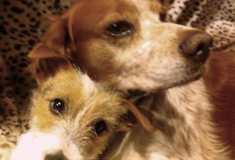 Bed and Breakfast Chambre D Hôte Chez Antoinette Et Charles