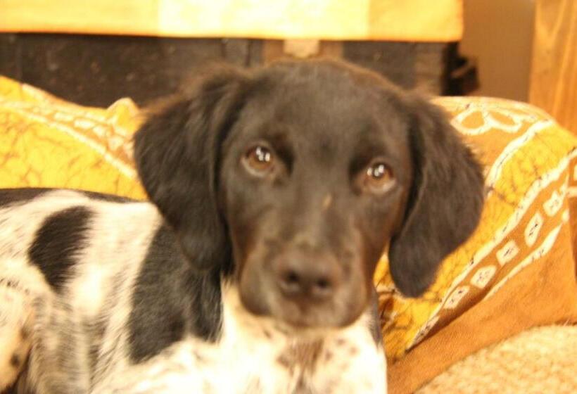 Bed and Breakfast Chambre D Hôte Chez Antoinette Et Charles