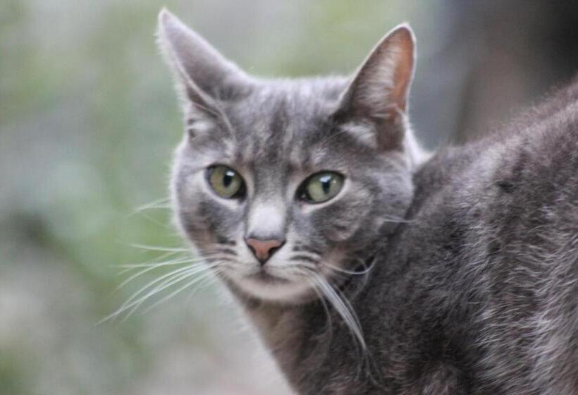 Bed and Breakfast Chambre D Hôte Chez Antoinette Et Charles