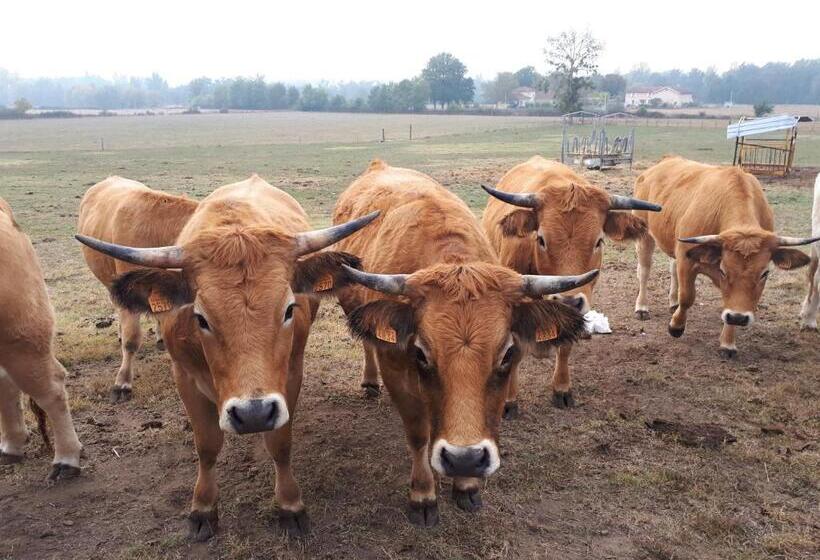 ベッドアンドブレックファースト L Orme Vial