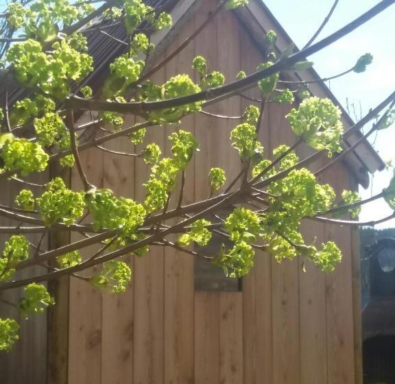 ベッドアンドブレックファースト La Maison De Lili