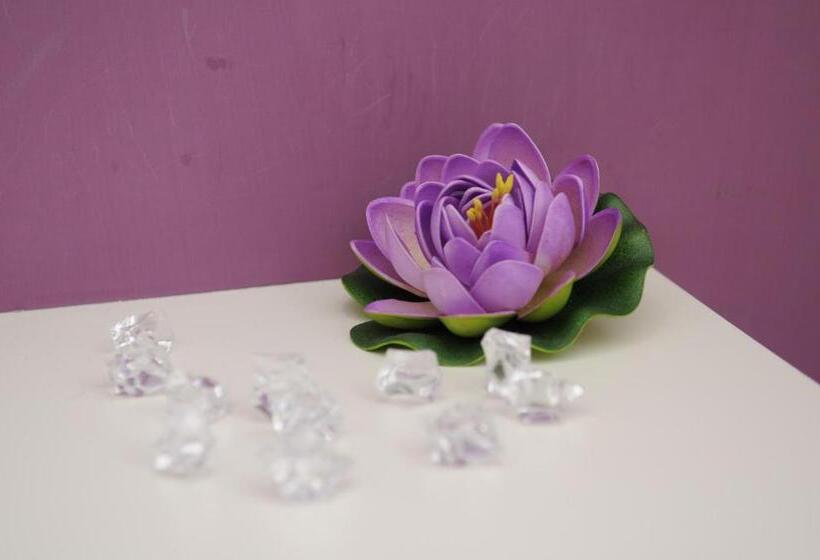 ベッドアンドブレックファースト Magic Rainbow