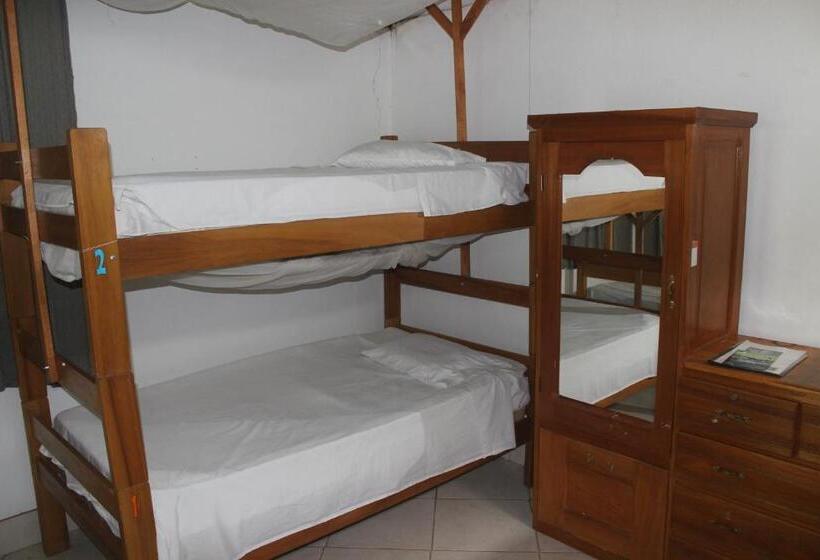 تختخواب و صبحانه Tambopata Hostel