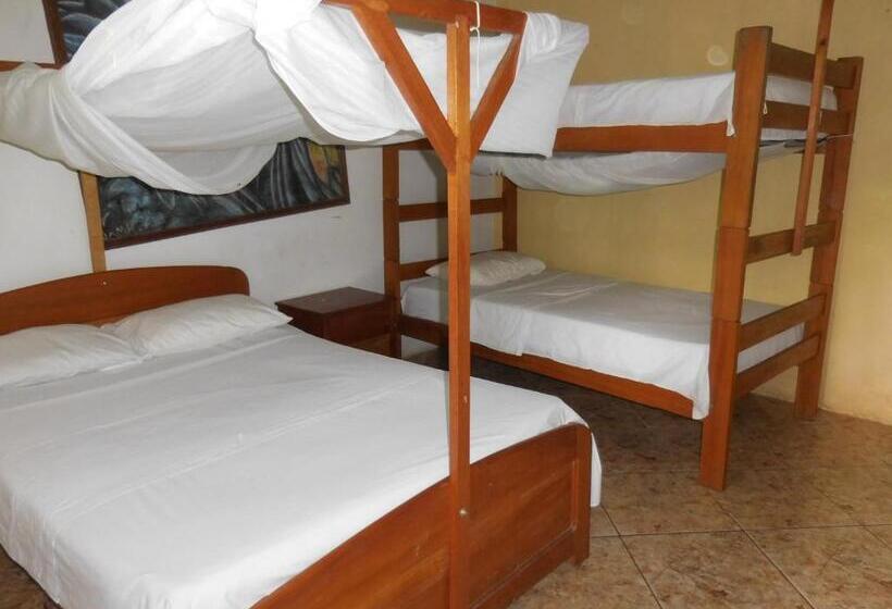 تختخواب و صبحانه Tambopata Hostel