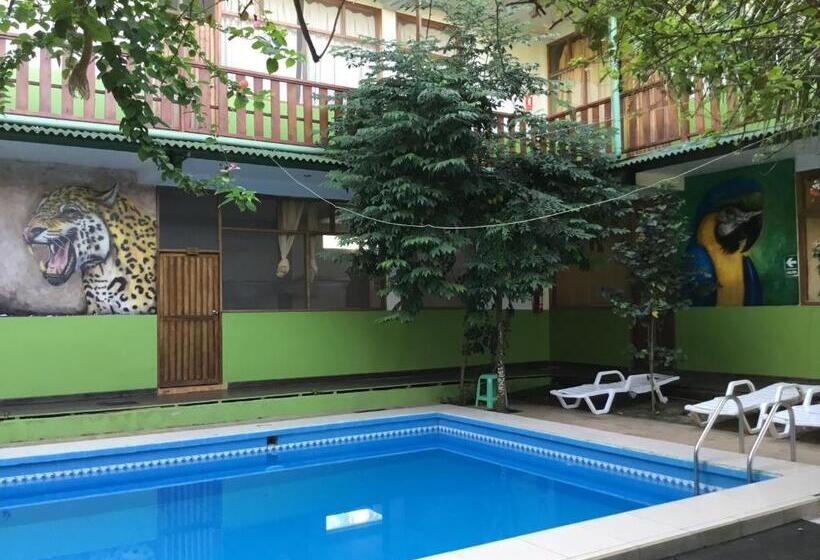 تختخواب و صبحانه Tambopata Hostel