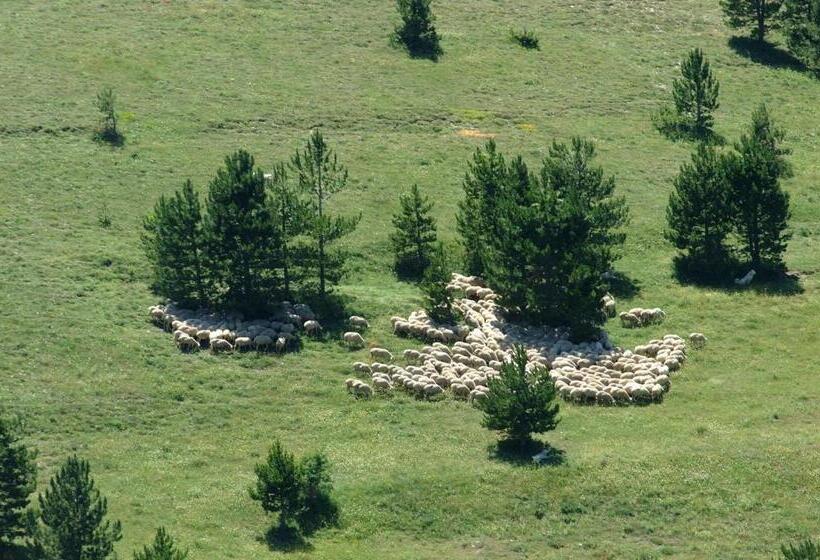 Bed & Breakfast Al Ponte