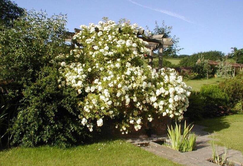 Combe Lancey Farmhouse B&b