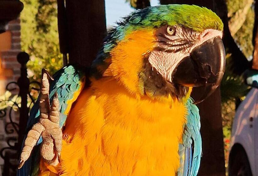 فندق Agriturismo Poggio La Buca