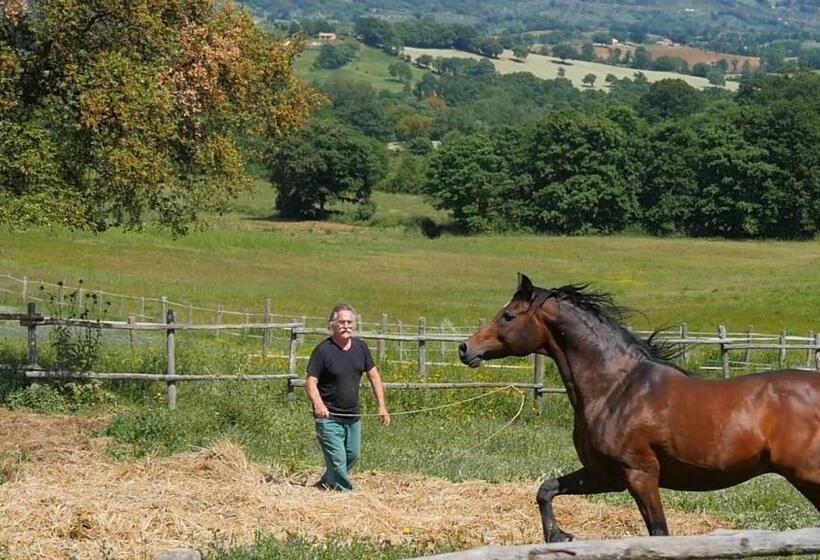 فندق Agriturismo Poggio La Buca