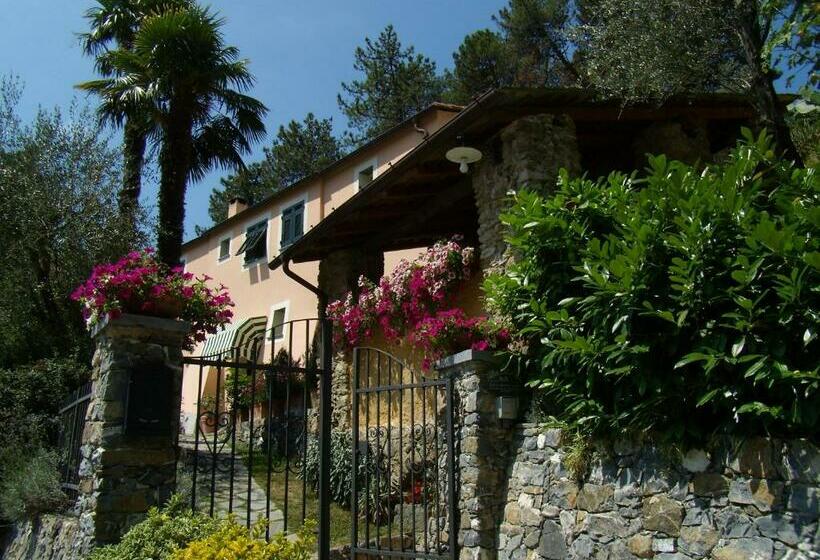 酒店 Agriturismo Villa Caterina